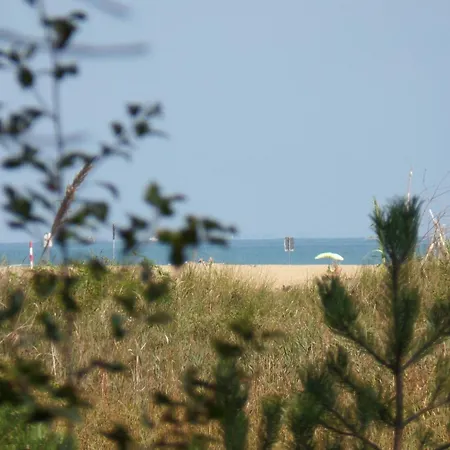Fuer 4 Personen Ca 20 Qm In Bibione, Adriakueste Italien Und Umgebung *
